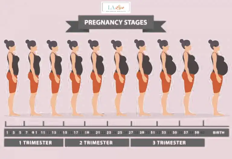 First Trimester (Weeks 1–12): Early Changes You Might Not Notice Luton